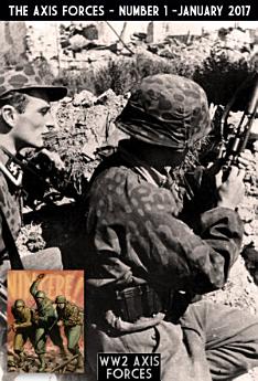 Icon image