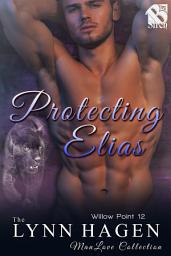 Icon image Protecting Elias (Willow Point 12)