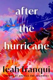 Icon image After the Hurricane: A Novel