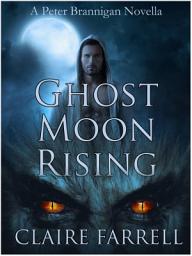 Icon image Ghost Moon Rising: A Peter Brannigan Novella