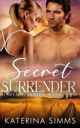Icon image Secret Surrender: A Steamy Contemporary Small Town Suspense Romance.