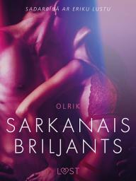 Icon image Sarkanais briljants - Erotisks īss stāsts