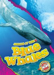 Icon image Blue Whales