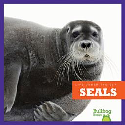 Icon image Seals