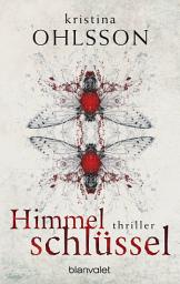 Icon image Himmelschlüssel: Thriller
