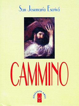 Icon image