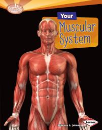 Icon image Your Muscular System