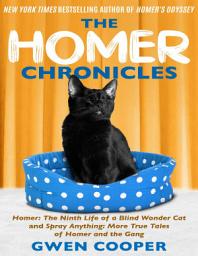 Icon image The Homer Chronicles