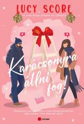 Icon image Karácsonyra állni fog!: Természeti katasztrófa utáni romeltakarítás még sosem volt ennyire szexi