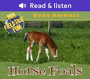Icon image Baby Animals: Horse Foals (Level 1 Reader): Horse Foals