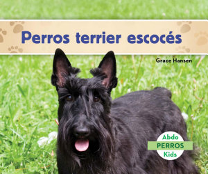 Icon image Perros terrier escoces (Scottish Terriers)