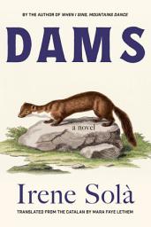 Icon image Dams: A Novel