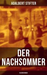 Icon image Der Nachsommer: Bildungsroman