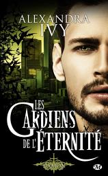 Icon image Les Gardiens de l'éternité, T11.5 : Damon