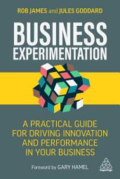 Icon image Business Experimentation: A Practical Guide for Driving Innovation and Performance in Your Business