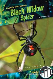 Icon image Black Widow Spider