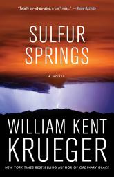 Icon image Sulfur Springs: A Novel