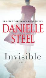 Icon image Invisible: A Novel