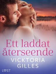 Icon image Ett laddat återseende - erotisk novell