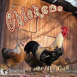 Icon image Chickens on the Farm