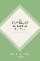 Icon image A Traveller in Little Things