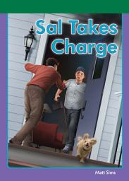 Icon image Sal Takes Charge: Sound Out Chapter Books Set B-2