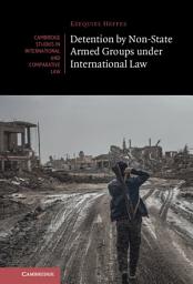 Icon image Detention by Non-State Armed Groups under International Law
