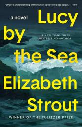 Icon image Lucy by the Sea: A Novel