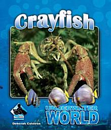 Icon image Crayfish