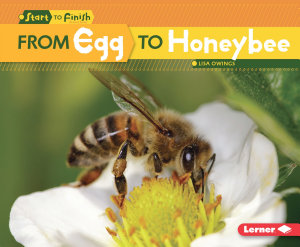 Icon image From Egg to Honeybee