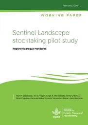 Icon image Sentinel Landscape stocktaking pilot study: Report Nicaragua-Honduras