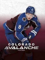 Icon image Colorado Avalanche