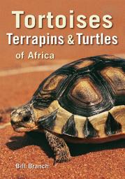 Icon image Tortoises, Terrapins & Turtles of Africa