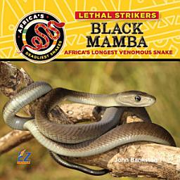 Icon image Black Mamba: Africa's Longest Venomous Snake