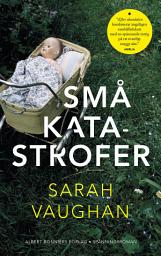 Icon image Små katastrofer