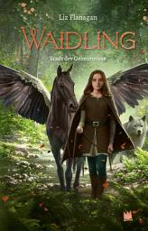 Icon image Waidling (Band 2): Stadt der Geheimnisse
