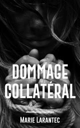 Icon image Dommage collatéral