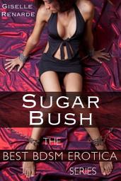 Icon image Sugar Bush: Lesbian Temperature Play Erotica