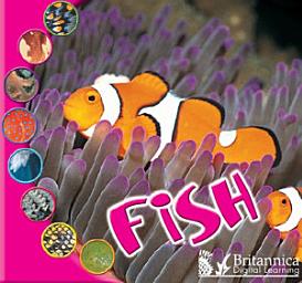 Icon image Fish
