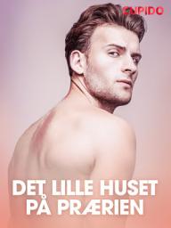 Icon image Det lille huset på prærien - erotiske noveller
