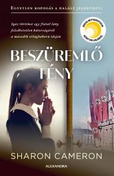 Icon image Beszüremlő fény