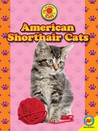 Icon image American Shorthair Cats