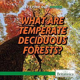 Icon image What Are Temperate Deciduous Forests?