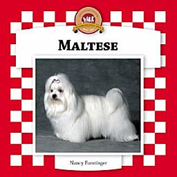 Icon image Maltese