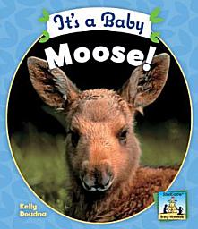 Icon image It's a Baby Moose