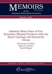 Icon image Infinitely Many Pairs of Free Boundary Minimal Surfaces with the Same Topology and Symmetry Group