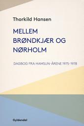 Icon image Mellem Brøndkjær og Nørholm: Dagbog fra Hamsun-årene 1975-1978