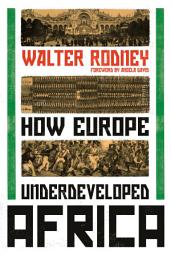 Icon image How Europe Underdeveloped Africa