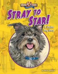 Icon image Stray to Star!: A Shelter Dog Story
