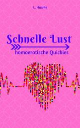Icon image Schnelle Lust: homoerotische Quckies